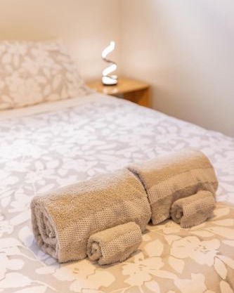 Back Garden Flat with Free On Street Parking and Fiber WIFI - 15 mins to Ferry, Stadium, CBD