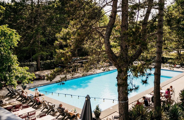 Badhotel Rockanje & Brasserie Lodgers