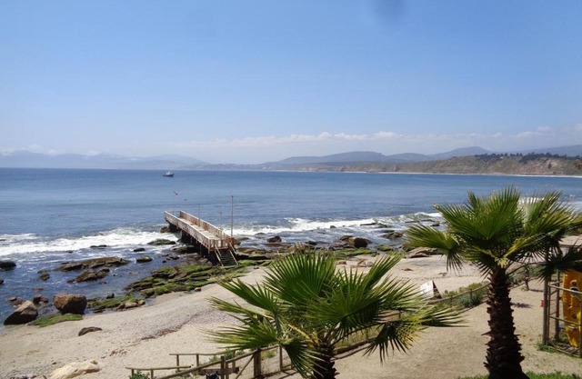Bahia Pelicanos