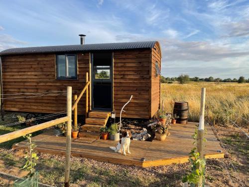 Bain View Glamping