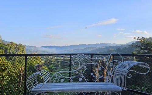 Balmy Hideout Cafe'& Homestay