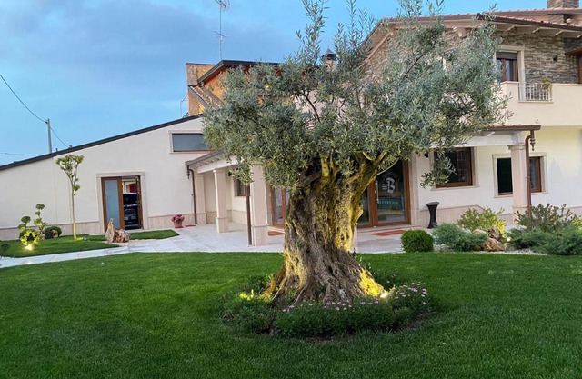 Balneum Rooms & SPA