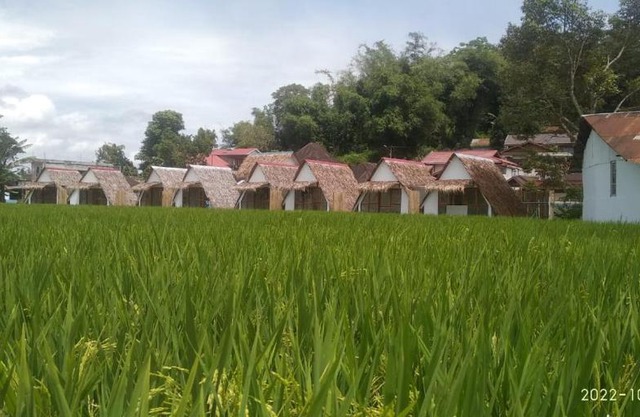 BAMBOO SHACK