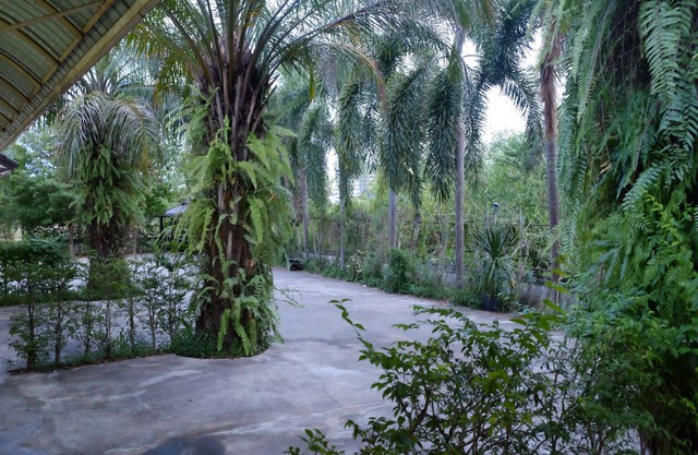 Ban Medsai Resort