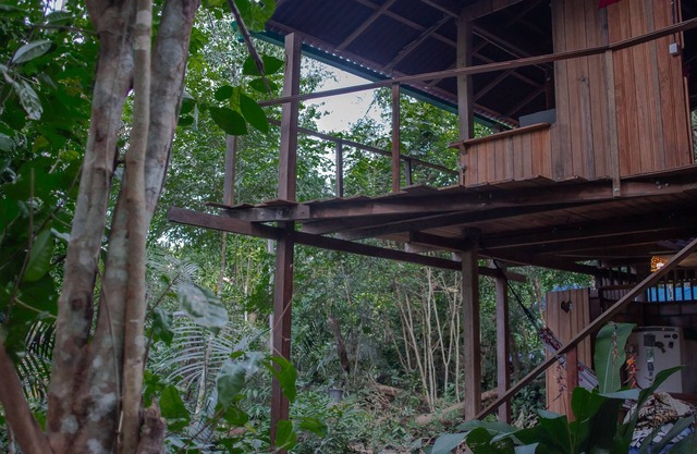 Bangalô na floresta