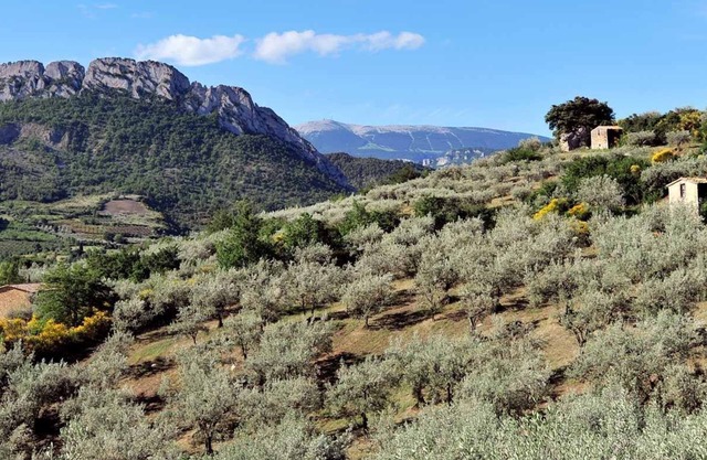 banne mountain view