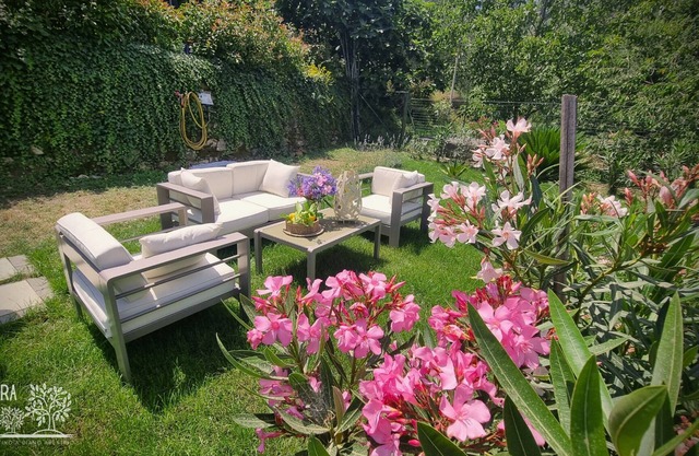 BARBARA TRA GLI ULIVI - An oasis of peace for a holiday dedicated to good living