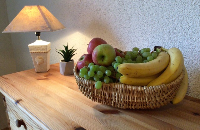 Barrier-free first floor apartment for one to three people