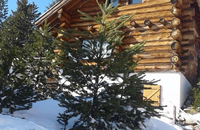 BAS de CHALET CANADIEN, au CALME