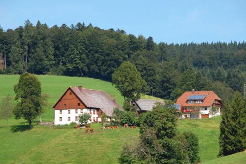 Baschijörgenhof