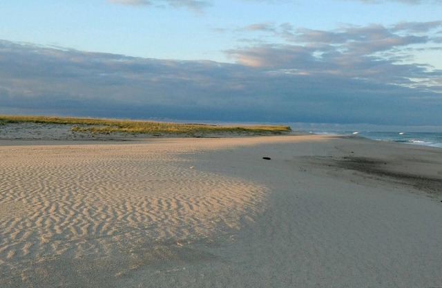 Bayberry House: 5 Min Walk to Boat Launch, 5 Min Drive to Nauset Beach, Full A/C