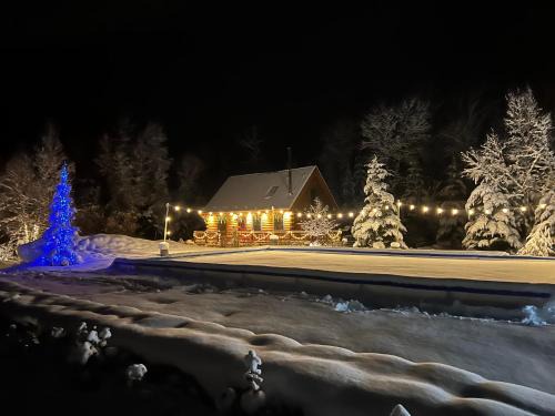 BC Log cabin with private beach river fire pit AC wifi onsite trails ski slope views