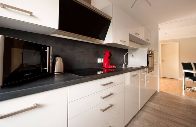 Be noted! Luxurious apartment near the Dümmersee