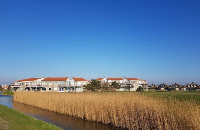Beach apartment SunnySite