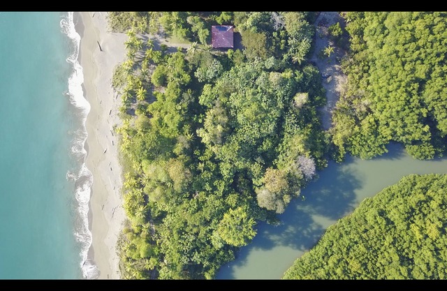 Beach house. Swimming & Wildlife
