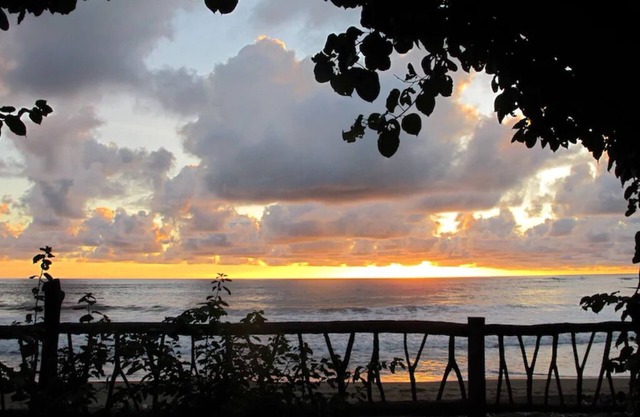 Beachfront Casita Surrounded by Gardens & Pool
