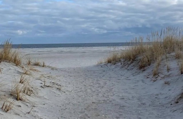 Beachfront Condo - Short walk across the street to the beach