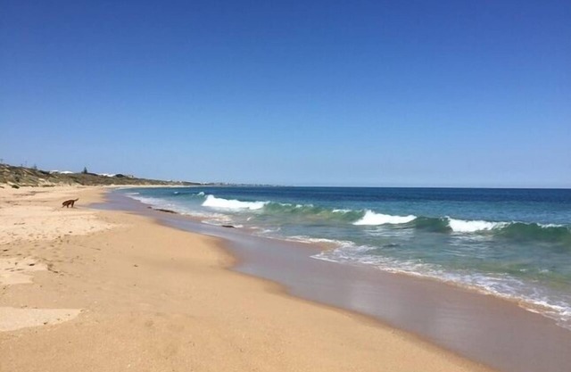 Beachfront Holiday House - Pet friendly Ocean Frontage