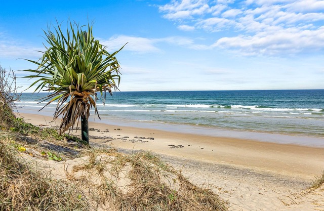 Beachside Beauty on the Sunshine Coast, Queensland.