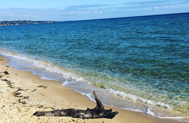 Beachside hidden gem.