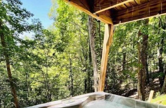 Bear-Tastic Mountain Cabin-HotTub-Game Room- Grill