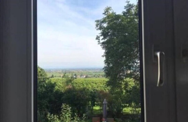 Beautiful apartment with a view of the vineyards