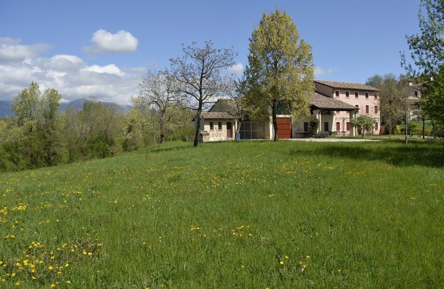 Beautiful apartment surrounded by greenery a stone's throw from the mountains