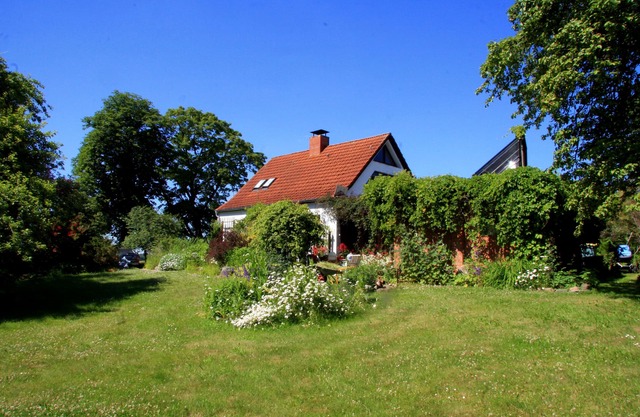 Beautiful house and garden with trampoline