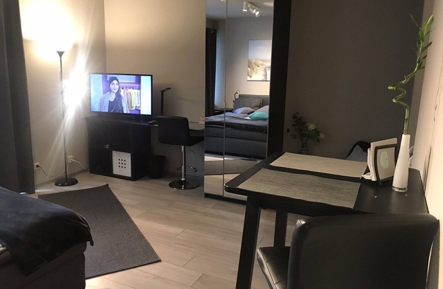 Beautiful 1ROOM APARTMENT with balcony