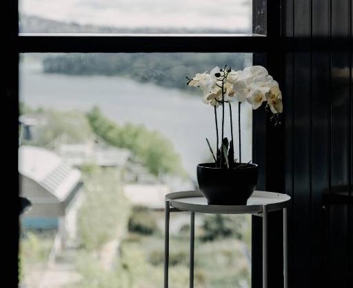 Beautiful 2BR Lakeside View