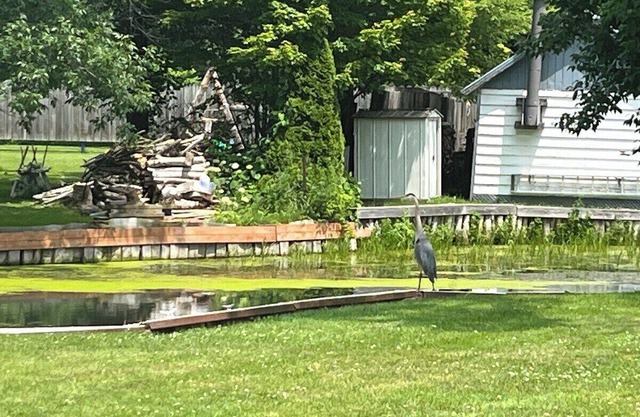 Beautiful 2BR Waterfront Cottage! #3