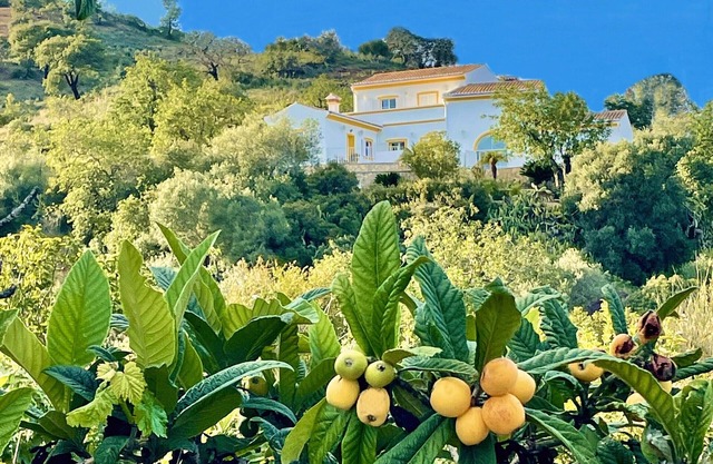 Beautiful 3 bed Family Villa W/Pool, Tranquil Rural nr village .