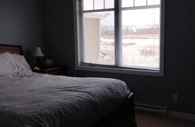 Beautiful 3 Bedroom Townhouse Facing The Lake Walk To Town!