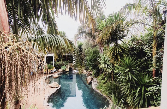 Beautiful 4 bedroom home with lagoon pool & spa. Nr Tay Street Beach, Maunganui