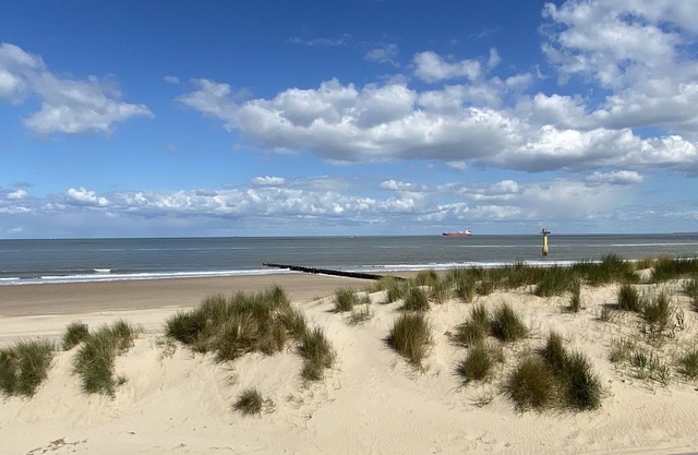 Beautiful 5-person apartment on ground level in Cadzand, 50 yards from the beach