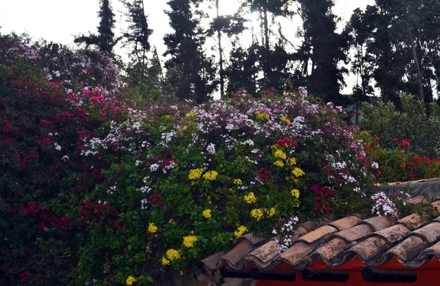 Beautiful adobe house in the countryside via a laguna de tota