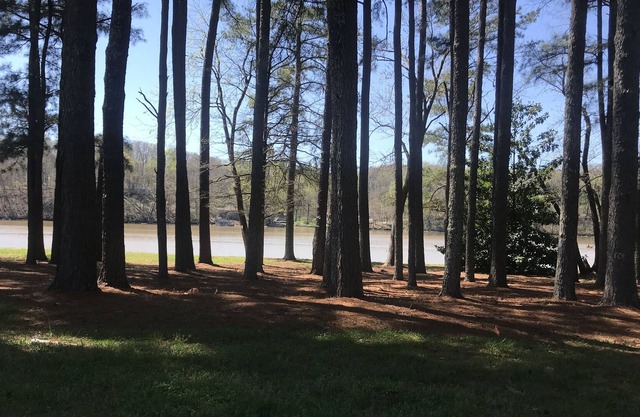 Beautiful and level camping site on Elk River.