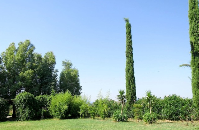 Beautiful apartment in villa for 4 people with pool, WIFI, TV, terrace, pets allowed and parking