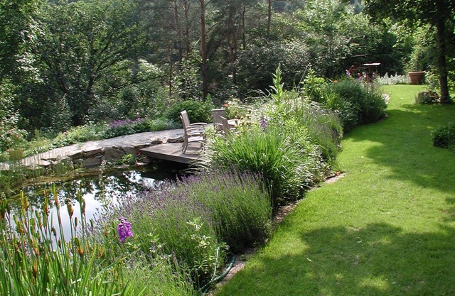Beautiful apartment with garden, fireplace and swimming pond - fantastic location