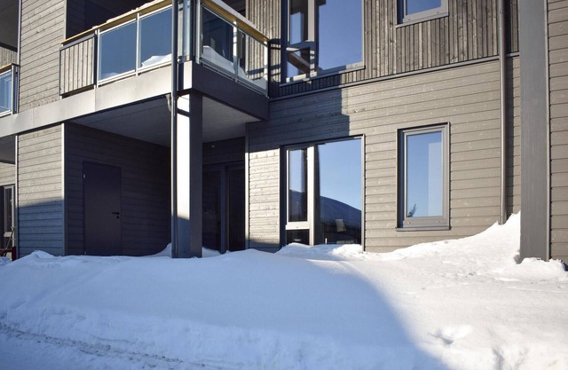 Beautiful apartment in Sjusjøen
