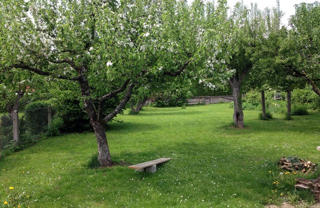 Beautiful attic apartment, close to nature & close to the city (western forests)