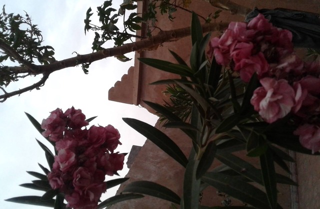 Beautiful authentic riad a mhamid elghizlan