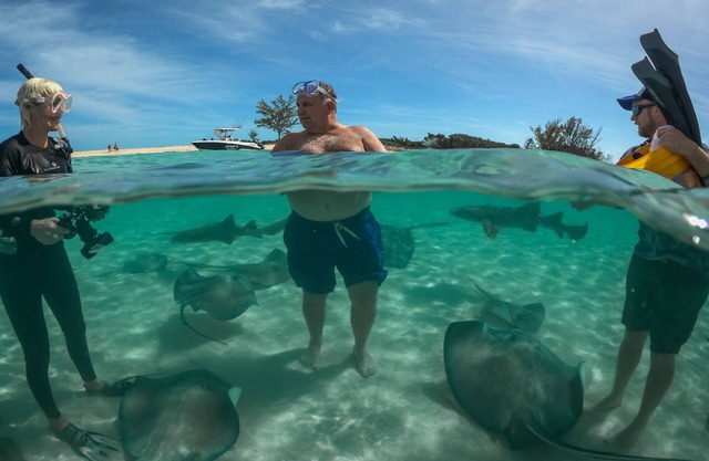 Beautiful Bahamas