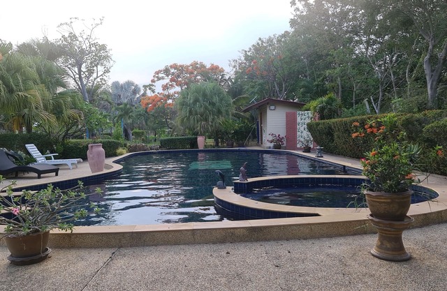 Beautiful bungalow with shared outdoor pool and 2 km from the sandy beach