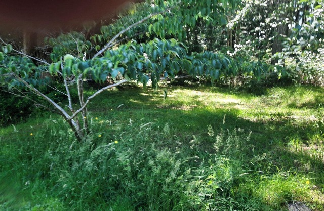 Beautiful Cabin close to trails for biking/hiking several beautiful beaches.