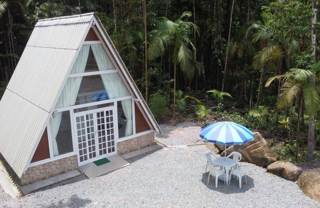 Beautiful cabin immersed in the forest