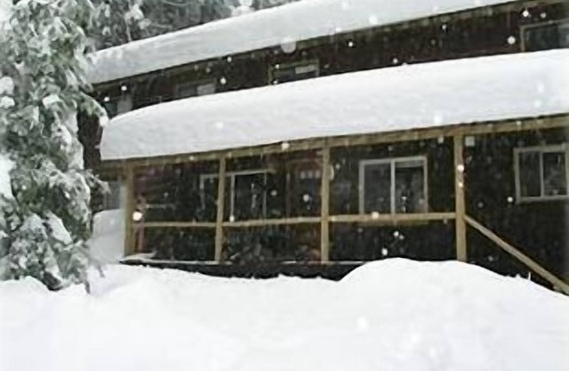 Beautiful Cabin in Big Trees