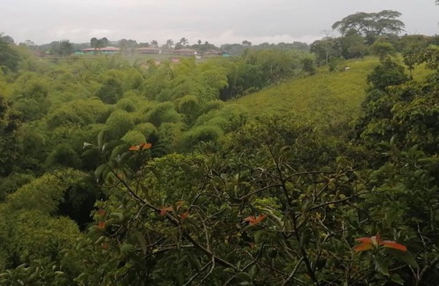 Beautiful Cabin in Quimbaya with excelent view an nature neighborhood