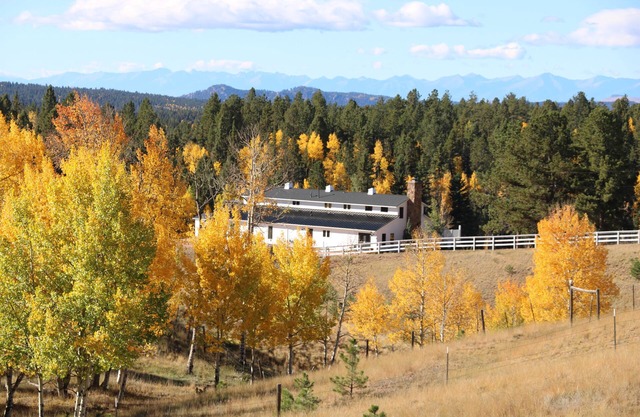 Beautiful Cabin on 35 Acres