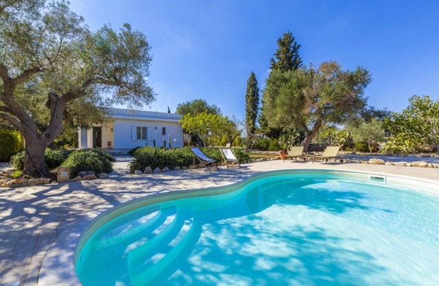 Beautiful charming villa with pool, surrounded by olive trees located in Santa Caterina - Nardo